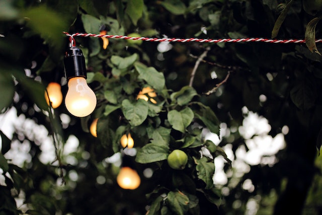 oświetlenie ogrodu niskie zużycie energii